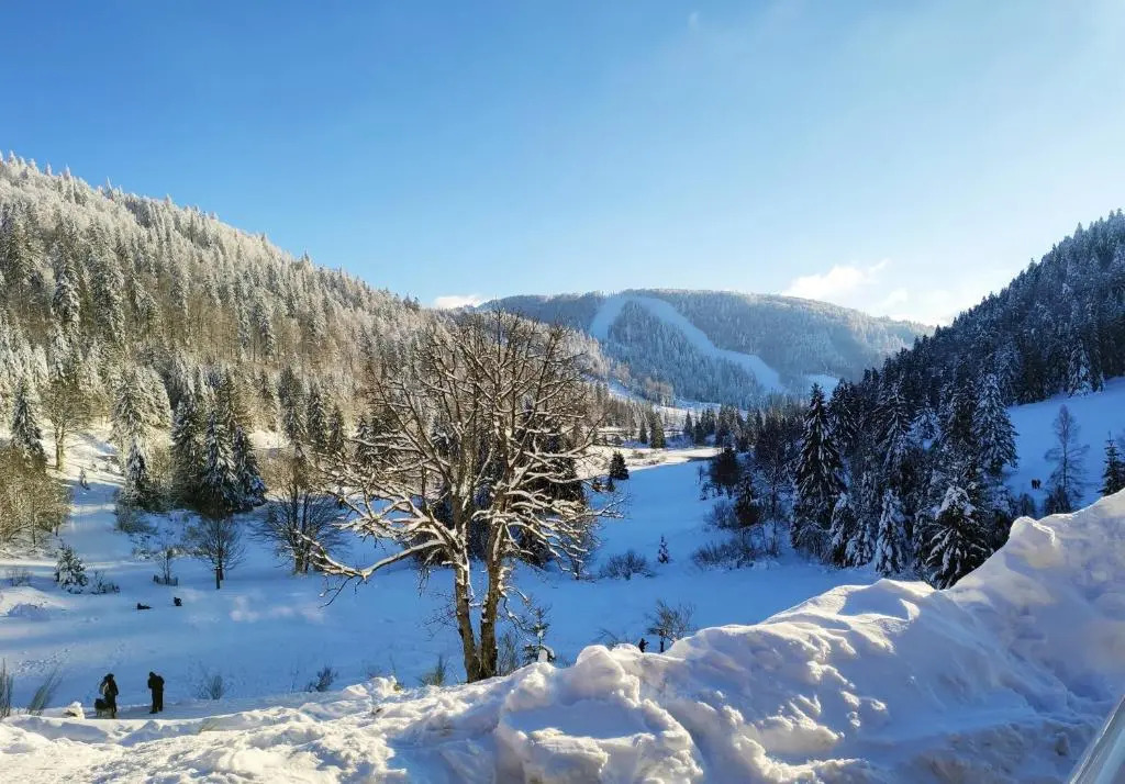 LA BRESSE - Appartement de Charme 3*