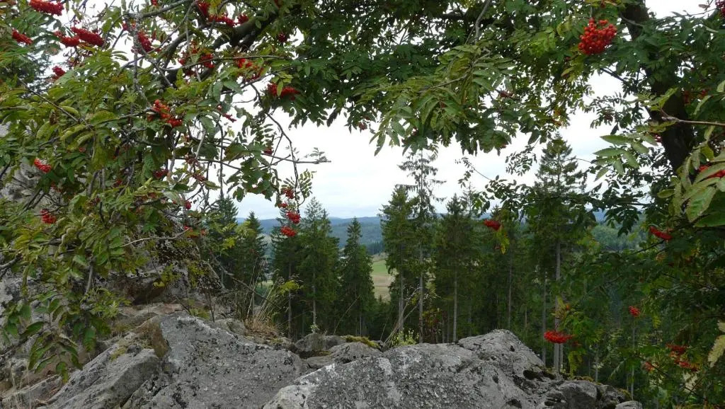 Landidyll Landhotel Liesetal