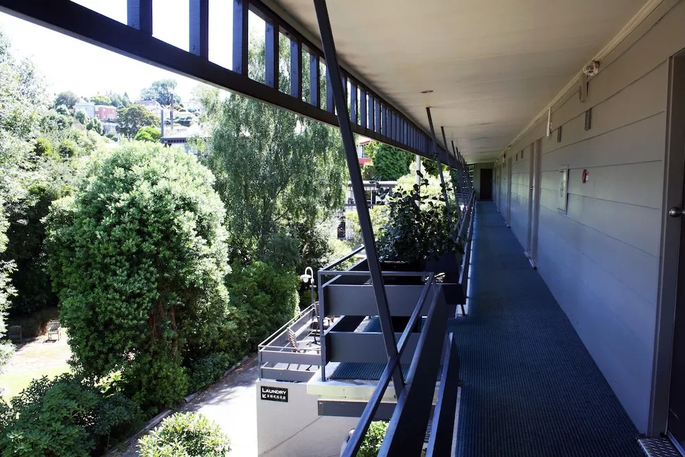 Pacific Park Dunedin