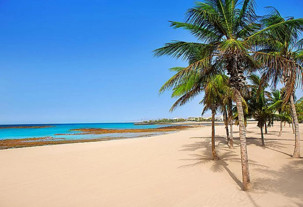 Villa Bellamar Large Heated Private Pool Walk to Beach Wifi Car Not Required - 3093