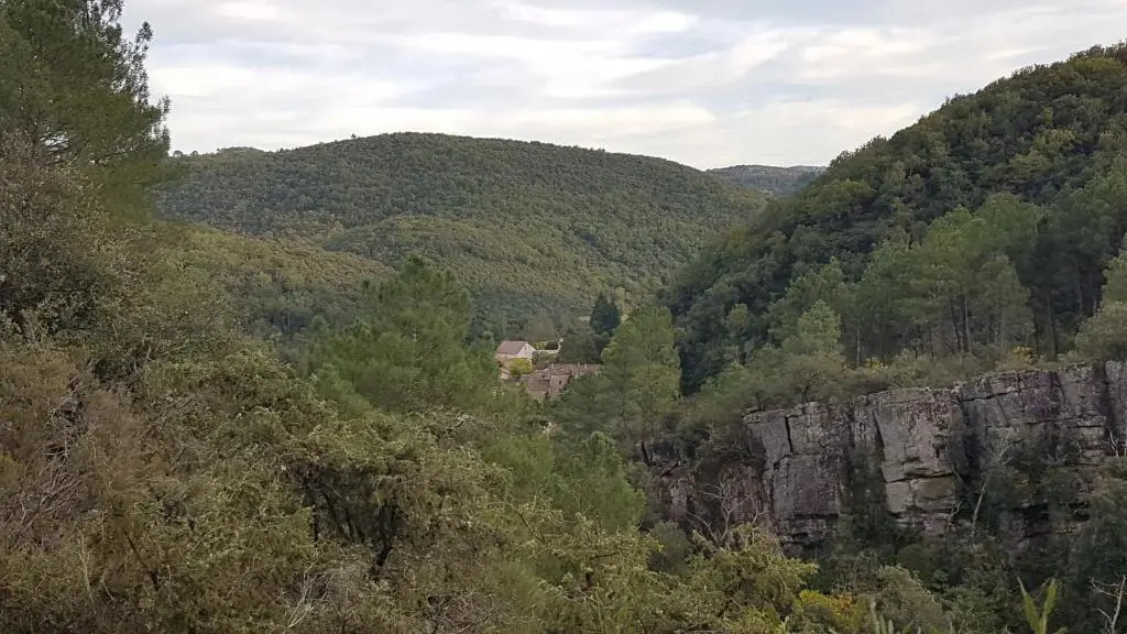 Le Clos du Cèdre