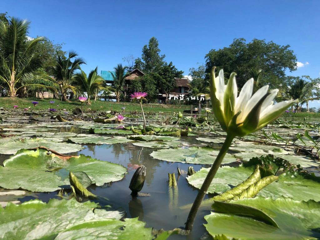 Rai Lam Poo Farm and Camping Resort