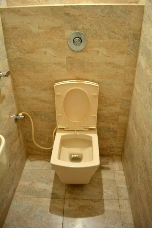 Hotel Milap Mansion