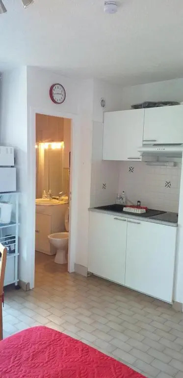 STUDIO CONFORT ET LUMINEUX avec LOGGIA ET PARKING PRIVE
