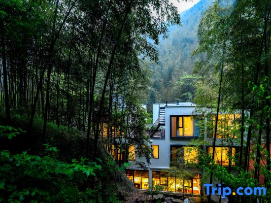 Yixing Qinlu homestay