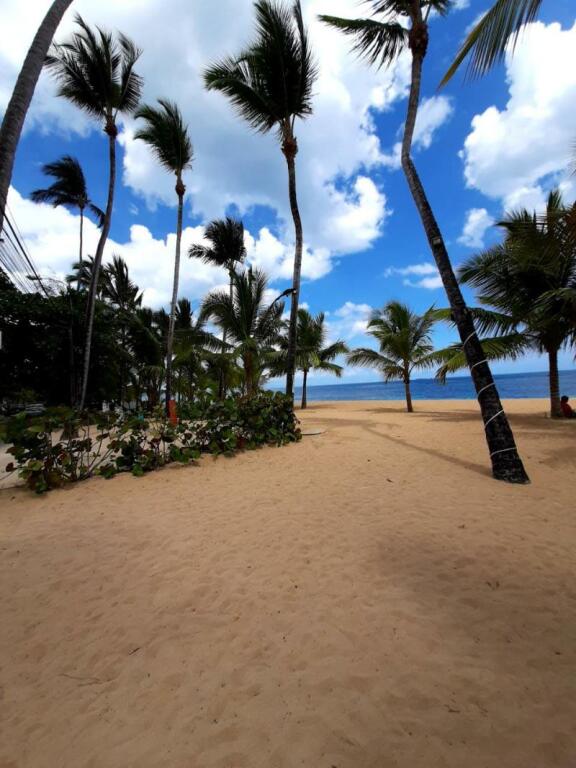 Hotel Playa Colibri