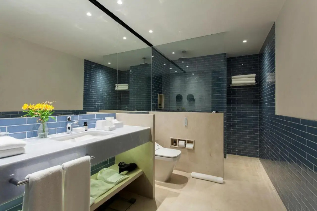 Hotel Fasano Salvador