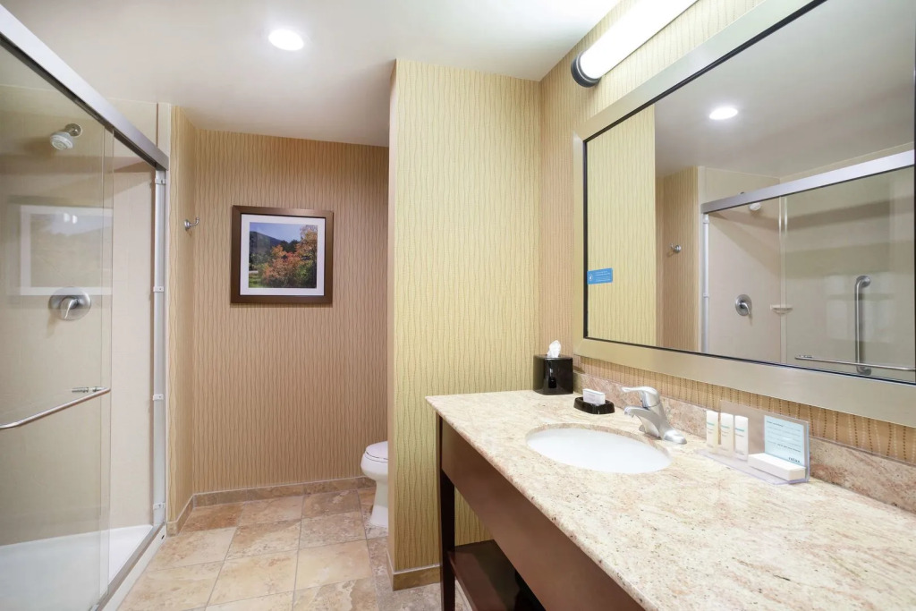 Hampton Inn and Suites Denver/South-RidgeGate