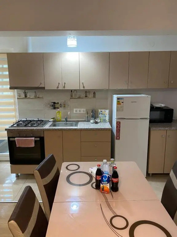 Cosmin Sondelor Apartament 1