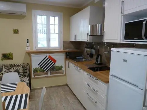 Nice Renting - PAGANINI - New Lovely Cosy Flat in Heart of Nice