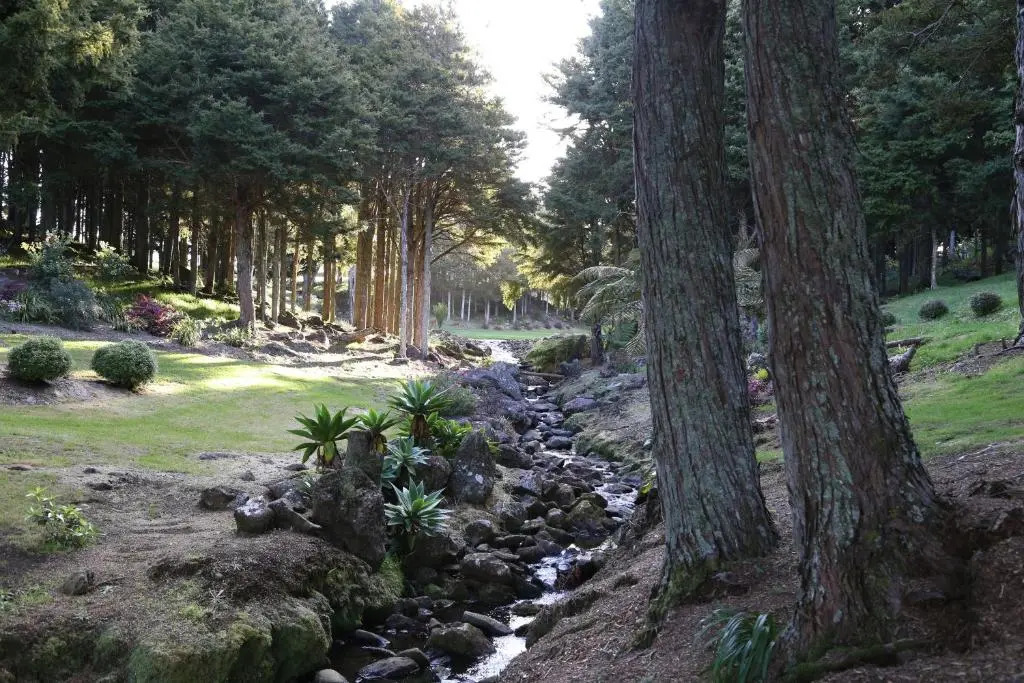 Totara House