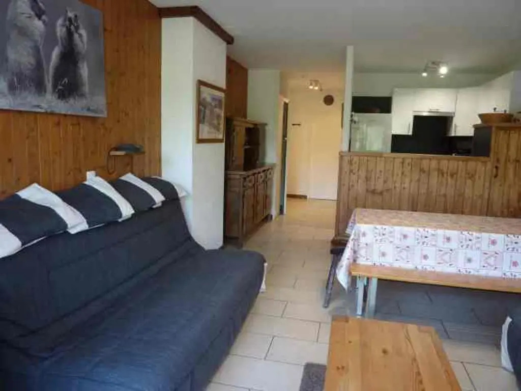 Appartement Morzine, 2 pièces, 6 personnes - FR-1-524-20