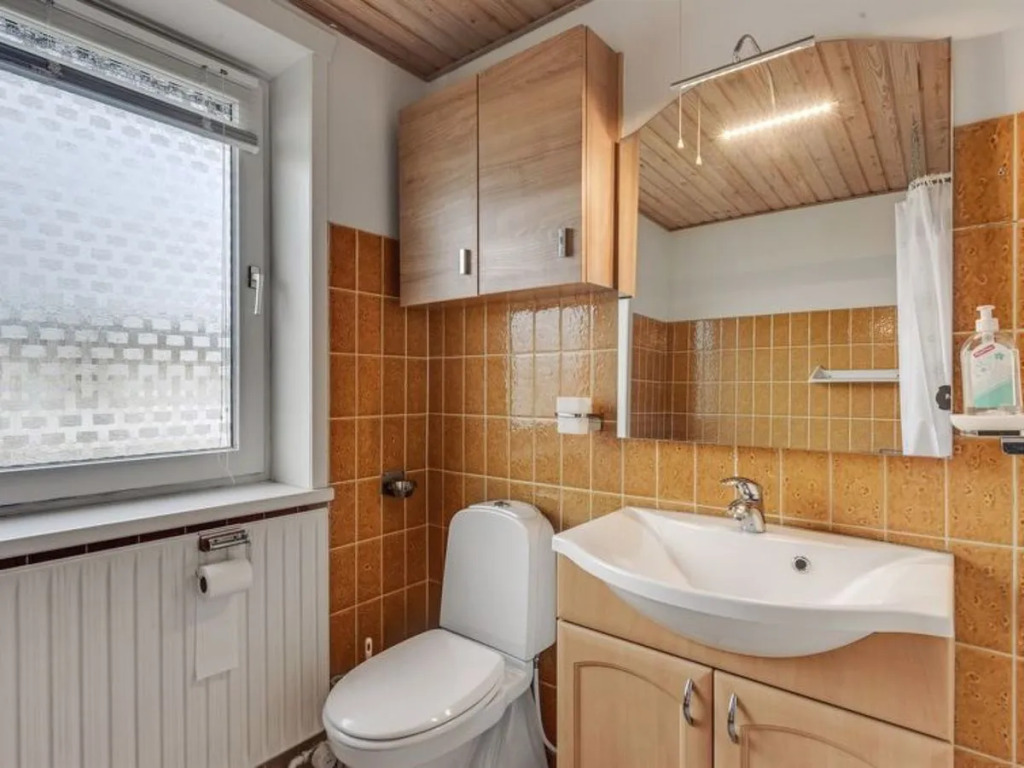 "Lenaya" - 400m from the sea in Western Jutland