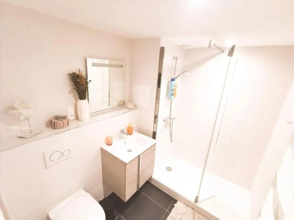Appartement Cosy en Hypercentre - Le Petit Jules