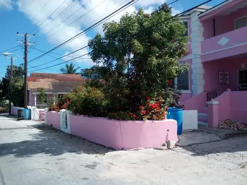 Da Pink and White Castle 2