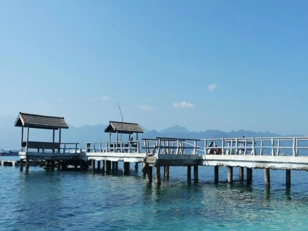 Tipsea Turtle Gili Trawangan