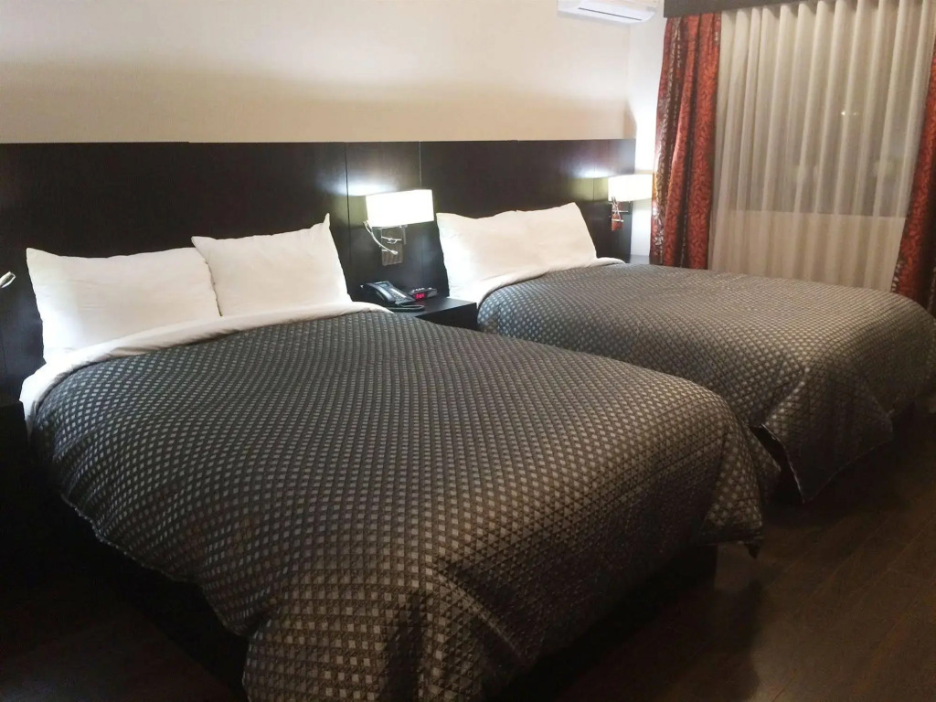 Hotel De La Borealie