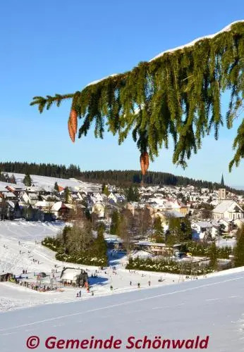 Schwarzwaldblick