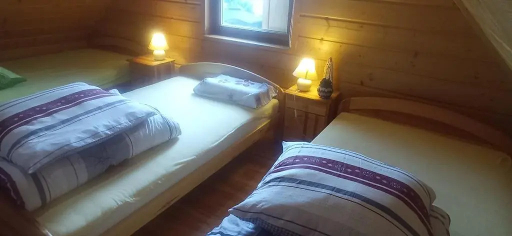 Domek góralski Sasanka