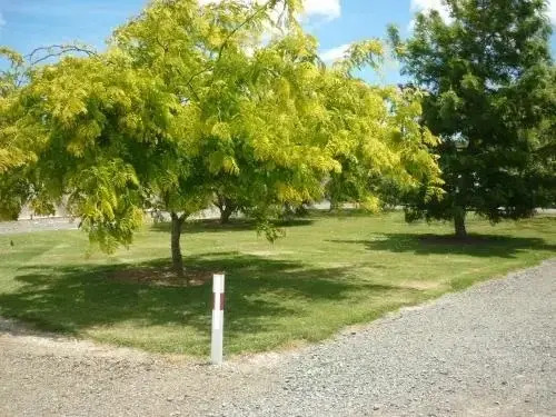Paparoa Motor Camp