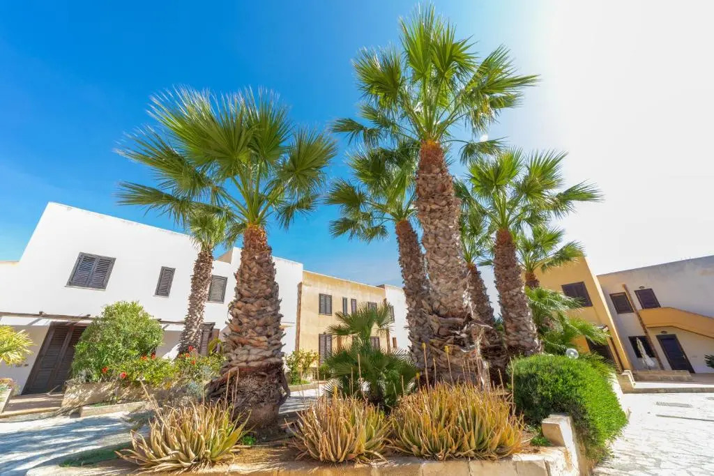 Elimi Favignana Apartments - Residence in città