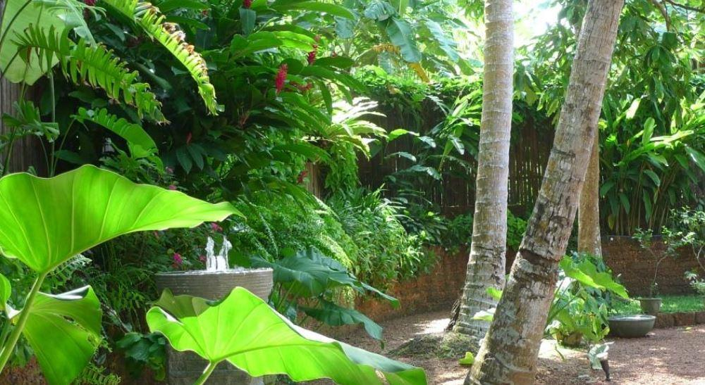 Nilu Villa