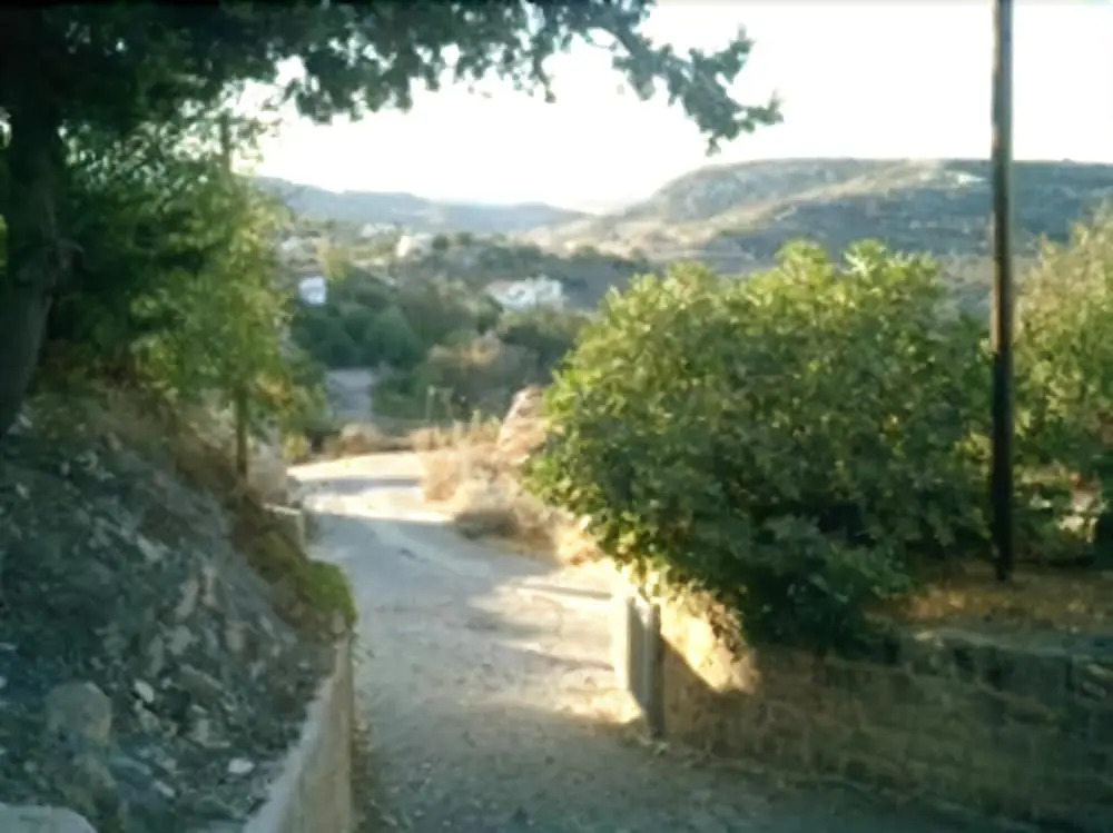 Hibiscus Cottages