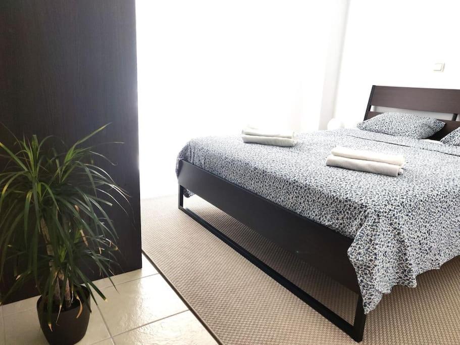 Fully equipped 2-bedroom flat unique view all year