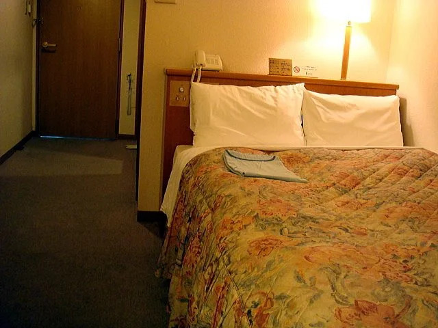Terminal Hotel Toyo
