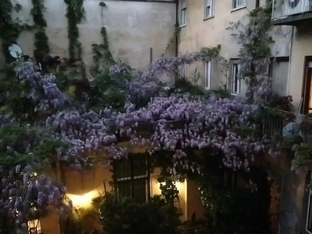 La Casa Degli Angeli