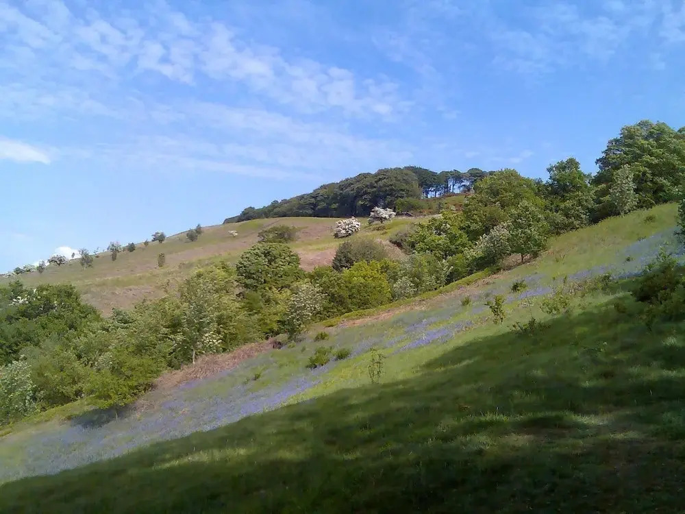 Moorlands Manor