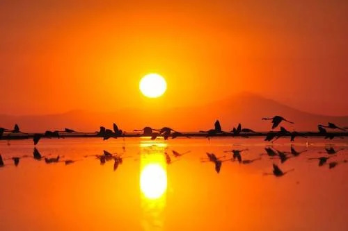 Sun Dalyan & Yeni Adet Organic Hotel