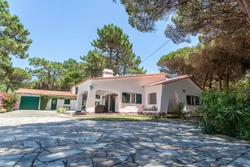 Ocean, Pines and Mountain - Renovated February 2025 - AC