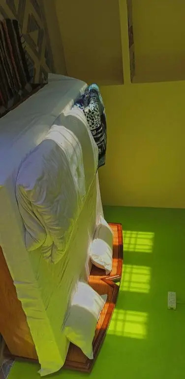 The Kiwi Shadow Guest House