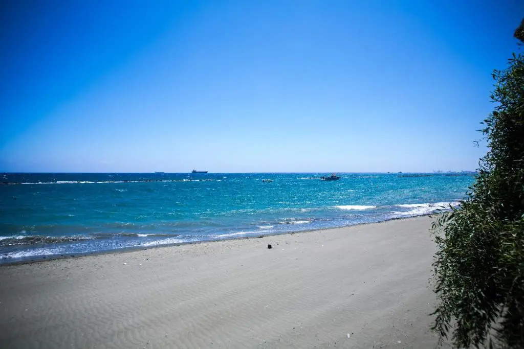 Gardenia 104 Near The Beach