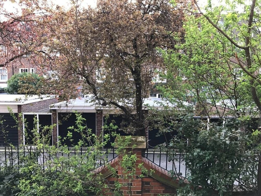 Spacious Apartment Near Hyde Park