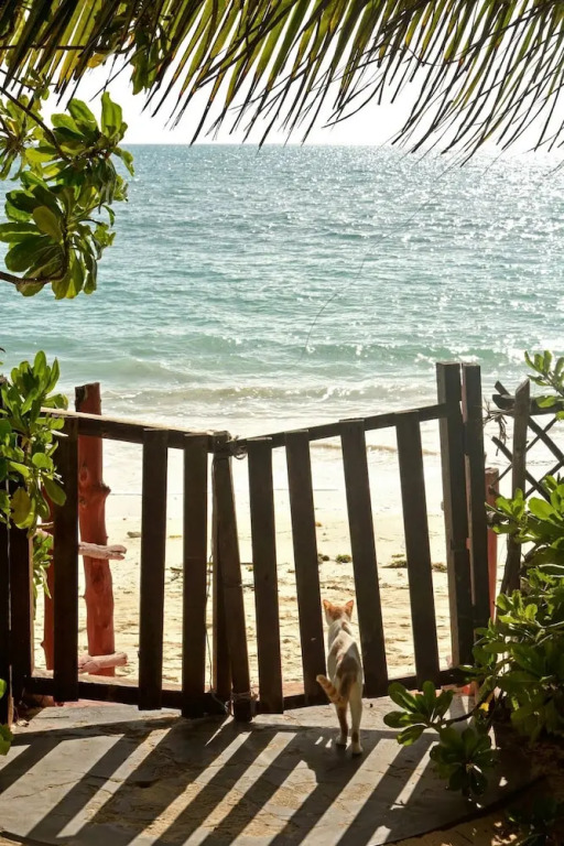 Kipepeo Lodge Zanzibar