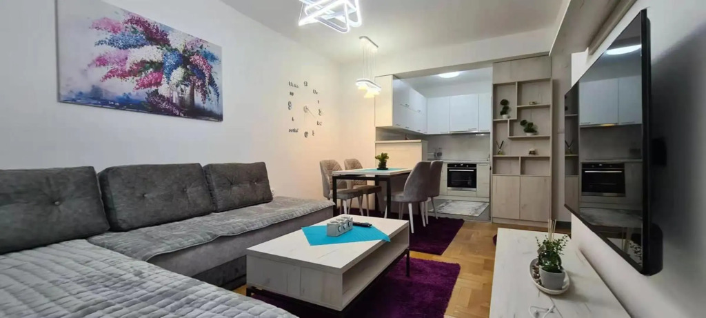Stylish Violet & Modern Apartment