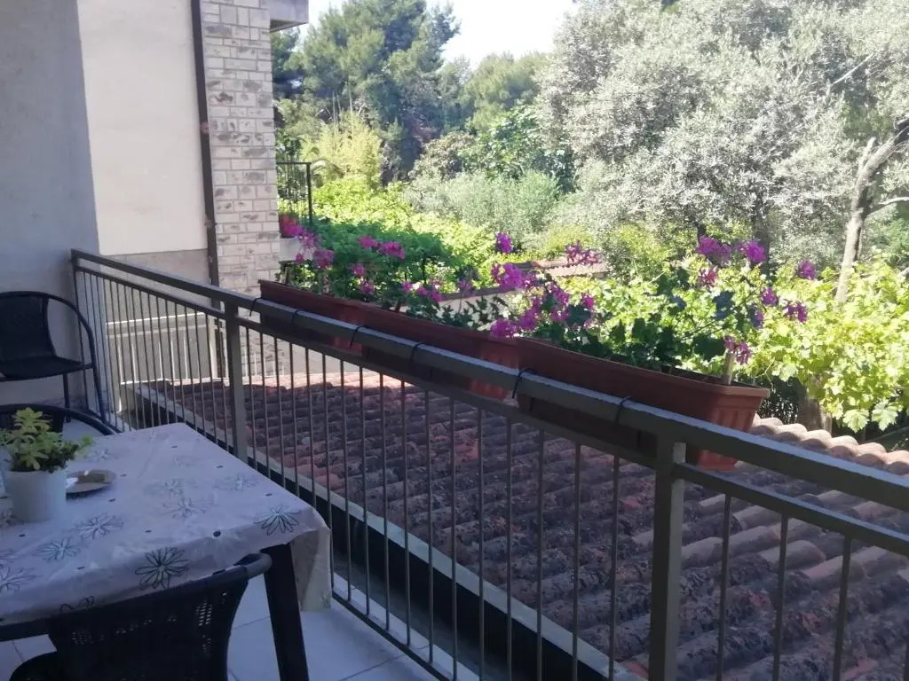 Apartments Jadranka Ivana Pula