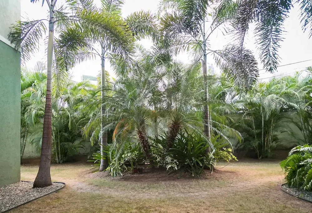 1-bed Smart Access Condo Near Bob Marley Museum
