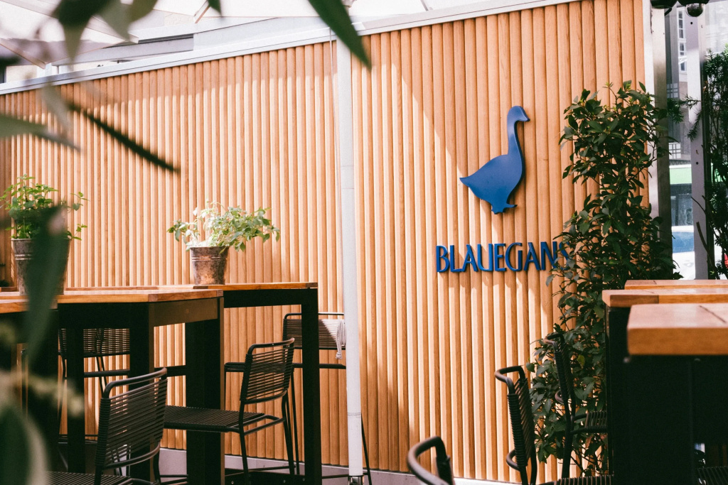 artHotel Blaue Gans