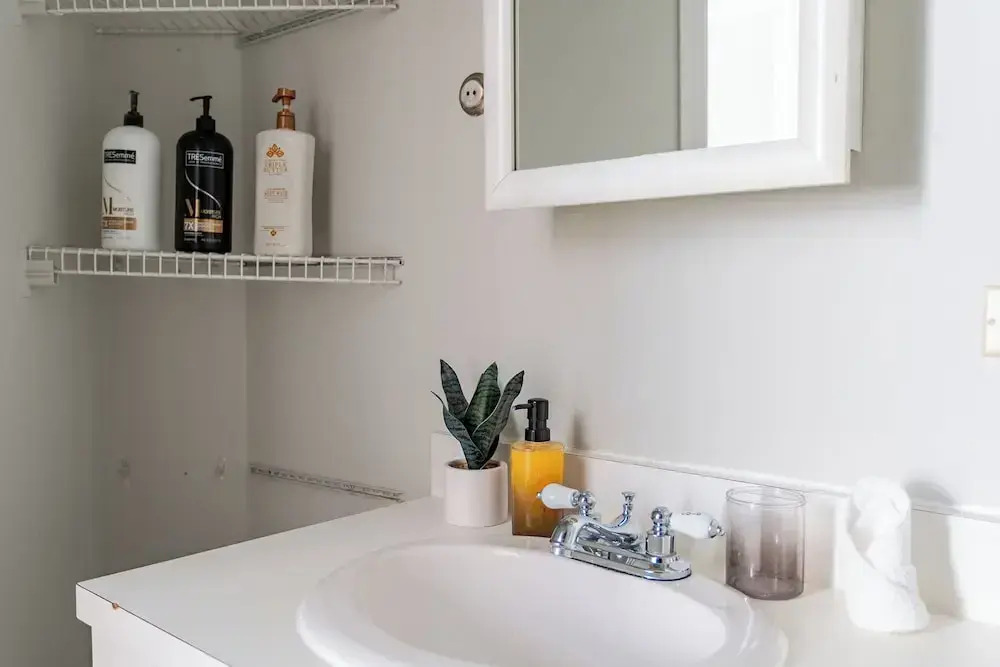 1BR Apt in Lincoln Park - Lincoln 3E
