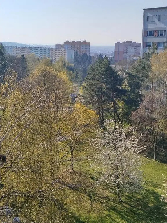 Flat Lesná