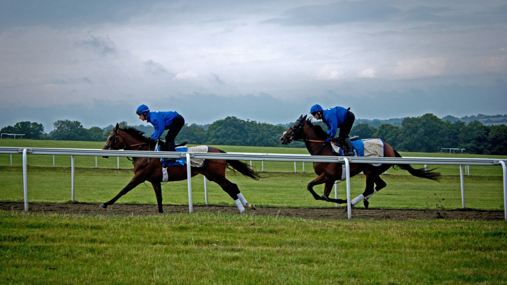 The Jockey Club Rooms