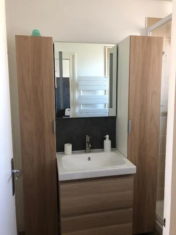 DEMOISELLES - Appartement 1 chambre