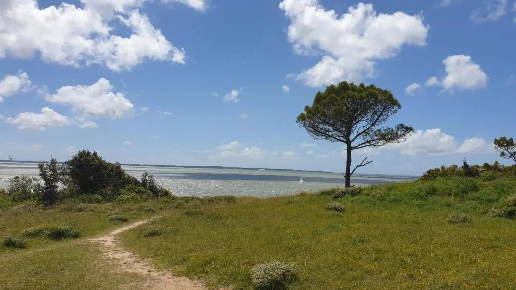 appartement à 300m de la plage