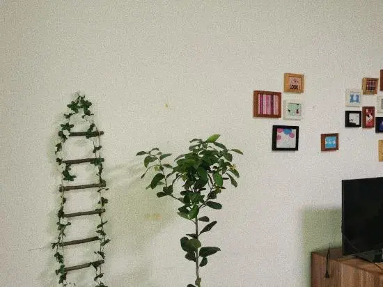 Anshun Yuxi Youth Hostel