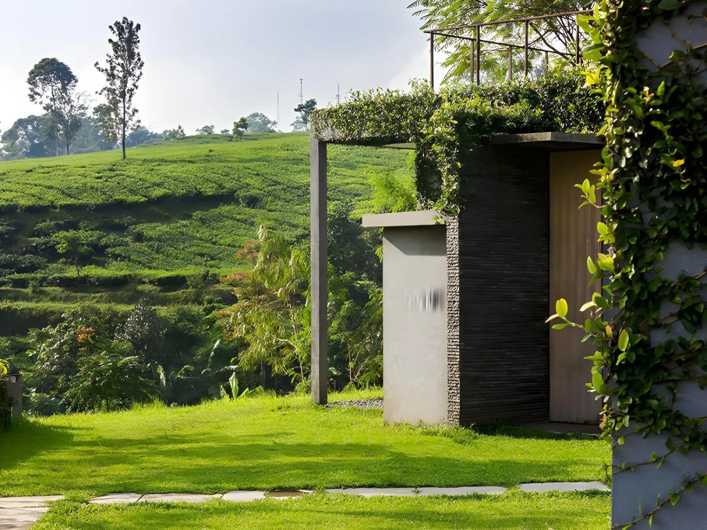 Tea Garden Resort