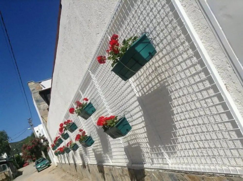 Cotton Boutique Hotel 16+