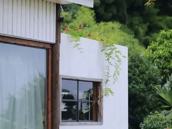 xinbo nanshan homestay